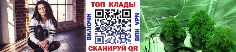 Купить закладку Конопля  Меф  Alpha-PVP  ГАШИШ  Кокаин  Новокубанск