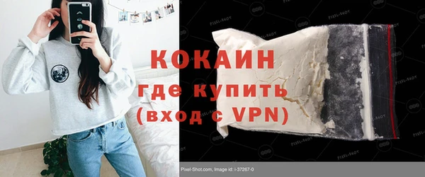 соль ск Кулебаки