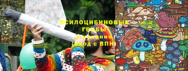 соль ск Кулебаки