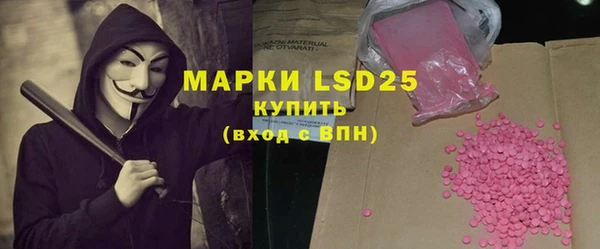 соль ск Кулебаки