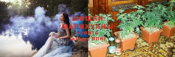 твердый Куйбышев