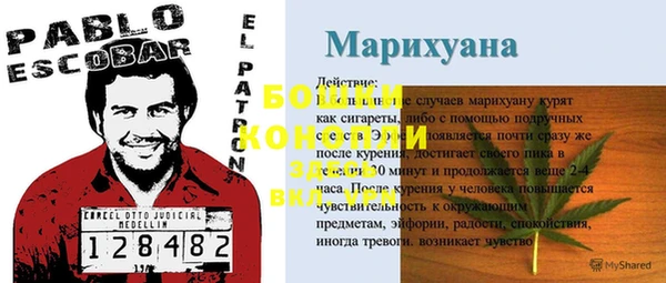 соль ск Кулебаки