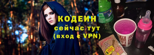 соль ск Кулебаки