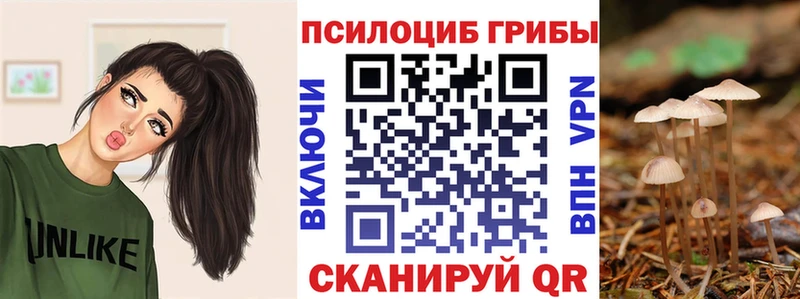 Купить закладки  Новокубанск  Галлюциногенные грибы мухоморы 