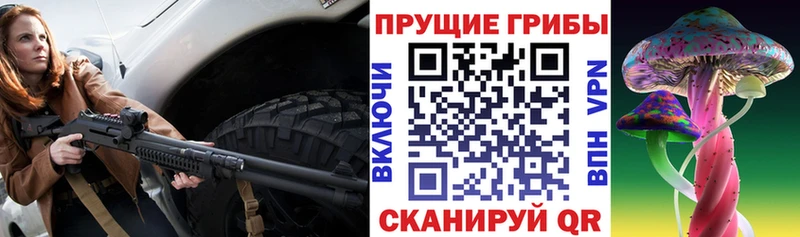 Галлюциногенные грибы ЛСД Новокубанск