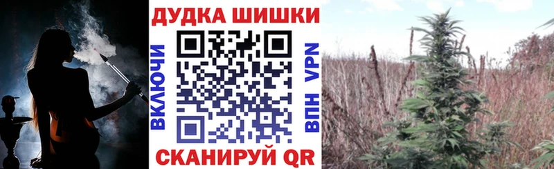 Канабис Ganja  Купить где  Новокубанск 